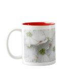 Eastern Dogwood Blossoms - Cornus florida mugs