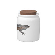 Eastern Fence Lizard candyjar Candy Dishes