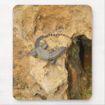 Eastern Fence Lizard mousepads by moonrisings Eastern Fence Lizard mousepads