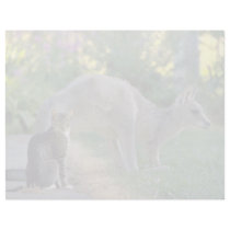 Eastern gray kangaroo and cat, Australia fl Letterhead Design
