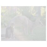 Eastern gray kangaroo and cat, Australia fl Letterhead Design