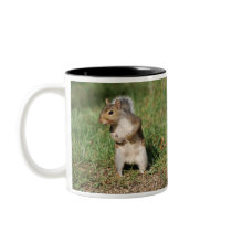 Eastern Gray Squirrel mug