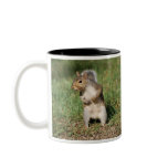 Eastern Gray Squirrel mug