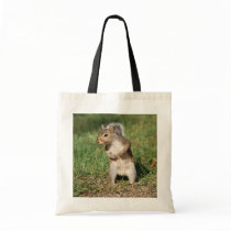 Eastern Gray Squirrel totebag