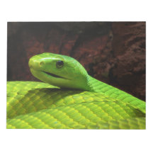 Eastern Green Mamba Dendroaspis Angusticeps Memo Note Pad