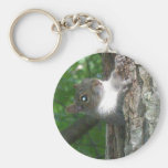 Eastern Grey Squirrel (Sciurus carolinensis) Items Key Chains