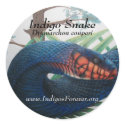 Eastern Indigo Snake Stickers