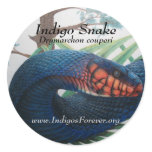 Eastern Indigo Snake Stickers
