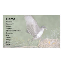 Eastern Kingbird landing on nest Business Card