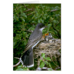 Eastern Kingbird with young Greeting Cards