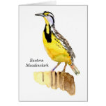 Eastern Meadowlark Cards
