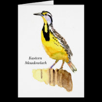 Eastern Meadowlark cards