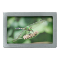 Eastern Pondhawk Dragonfly Rectangular Belt Buckle