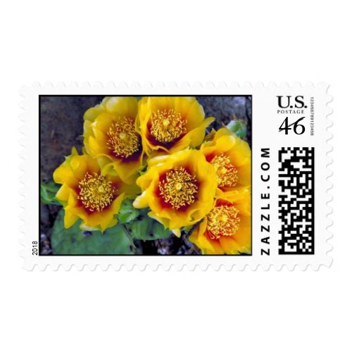 Eastern prickly pear cactus postage stamps