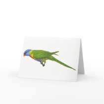 Eastern Rainbow Lorikeet cards
