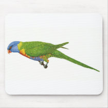 Eastern Rainbow Lorikeet mousepads