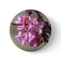 Eastern Redbud Blooms buttons
