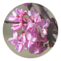 Eastern Redbud Blooms stickers by princessklb07 Eastern Redbud Blooms stickers