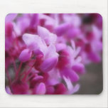 Eastern Redbud Flowers Mousepads