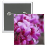 Eastern Redbud Flowers Pins