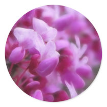 Eastern Redbud Flowers Stickers