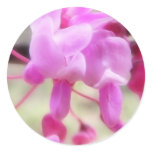 Eastern Redbud - Up Close stickers