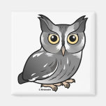 Eastern Screech Owl (Gray Phase) Refrigerator Magnets