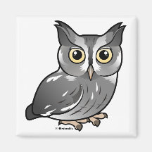 Eastern Screech Owl (Gray Phase) Refrigerator Magnets