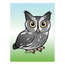 Eastern Screech Owl (Gray Phase) Post Card