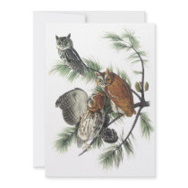 Eastern Screech Owl, John Audubon Custom Invitations