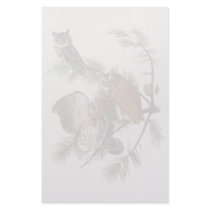 Eastern Screech Owl, John Audubon Stationery Paper