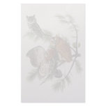 Eastern Screech Owl, John Audubon Stationery Paper