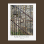 Eastern State Penitentiary Postcard postcards