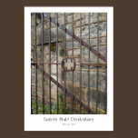 Eastern State Penitentiary Print posters