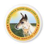 Eastern Steppe – Magnets