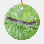 Eastern Tent Caterpillar Ornaments