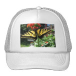 Eastern Tiger Swallowtail Butterfly Baseball Cap Trucker Hat