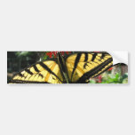 Eastern Tiger Swallowtail Butterfly Bumper Sticker