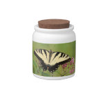 Eastern Tiger Swallowtail Butterfly Candy Jar