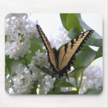 Eastern Tiger Swallowtail Butterfly Photo Mousepads