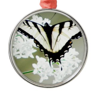 Eastern Tiger Swallowtail Butterfly Photo zazzle_ornament
