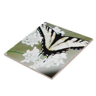 Eastern Tiger Swallowtail Butterfly Photo zazzle_tile