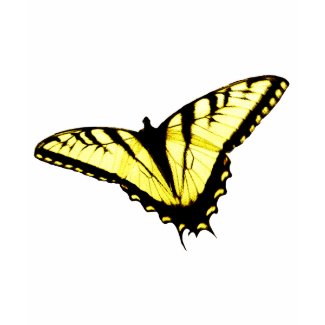 Eastern Tiger Swallowtail Butterfly Photo zazzle_shirt
