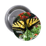 Eastern Tiger Swallowtail Butterfly Pin