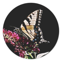 Eastern Tiger Yellow Swallowtail Butterfly Sticker