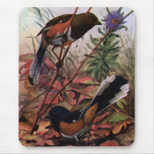 Eastern Towhees and Purple Aster Mousepad