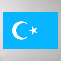 Eastern Turkistan, Democratic Republic of the Cong Posters