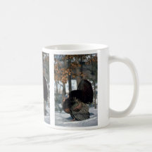 Eastern wild turkey, big gobbler strutting in snow mugs