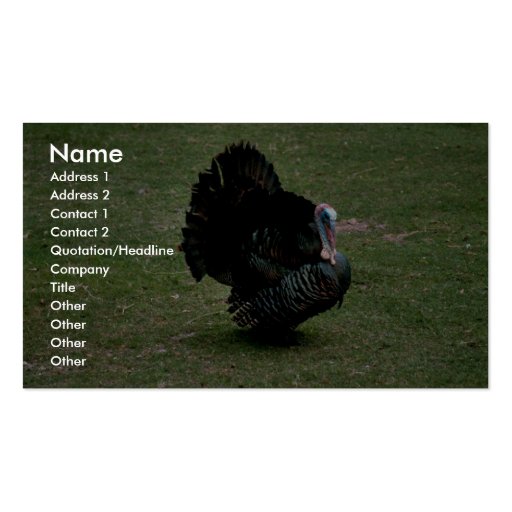 Eastern Wild Turkey Business Card Template (front side)