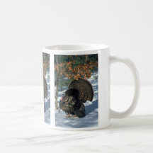 Eastern wild turkey, huge gobbler in full strut coffee mugs